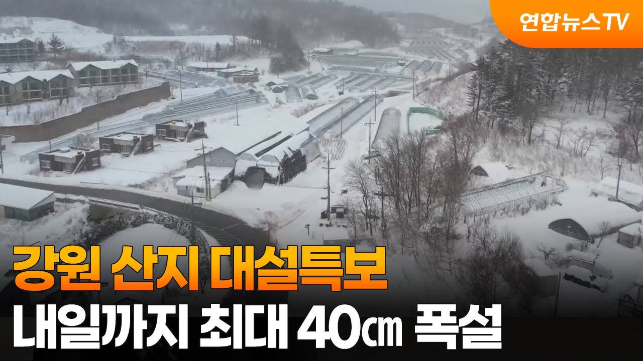 강원 산지 대설특보…내일까지 최대 40㎝ 폭설 / 연합뉴스TV (YonhapnewsTV)