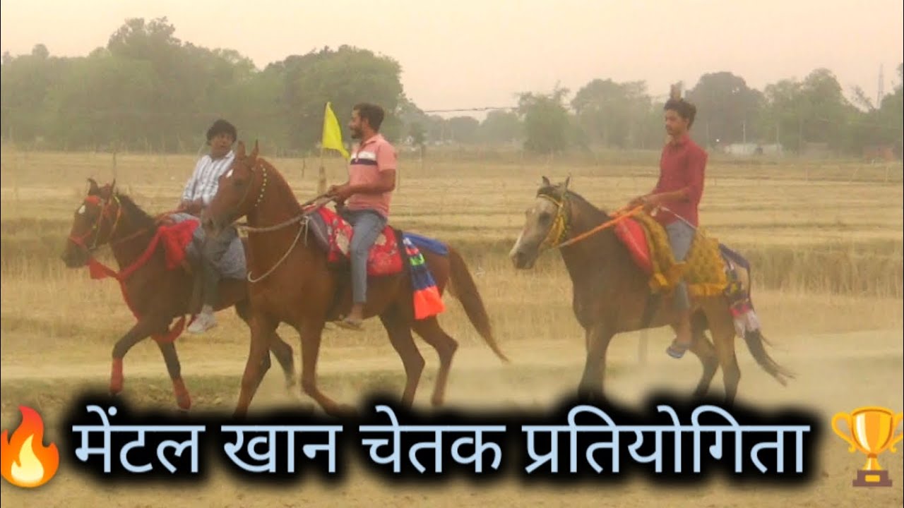 मेंटल खान चेतक प्रतियोगिता प्रतापगढ़ 2024🔥पहुंचे सारे धुरंधर 🏆 होगी तगड़ी जंग 👑 @HorseMan_07 #race