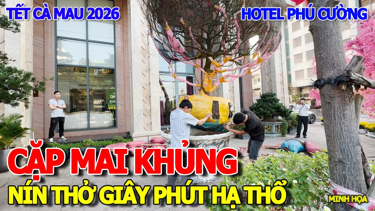 NÍN THỞ GIÂY PHÚT 