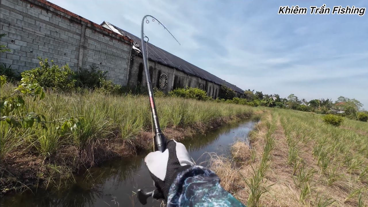 C&acirc;u c&aacute; l&oacute;c T&acirc;n Ph&uacute; Đ&ocirc;ng Tập #115  Những c&uacute; t&aacute;p bất ngờ/khiemtranfishing 