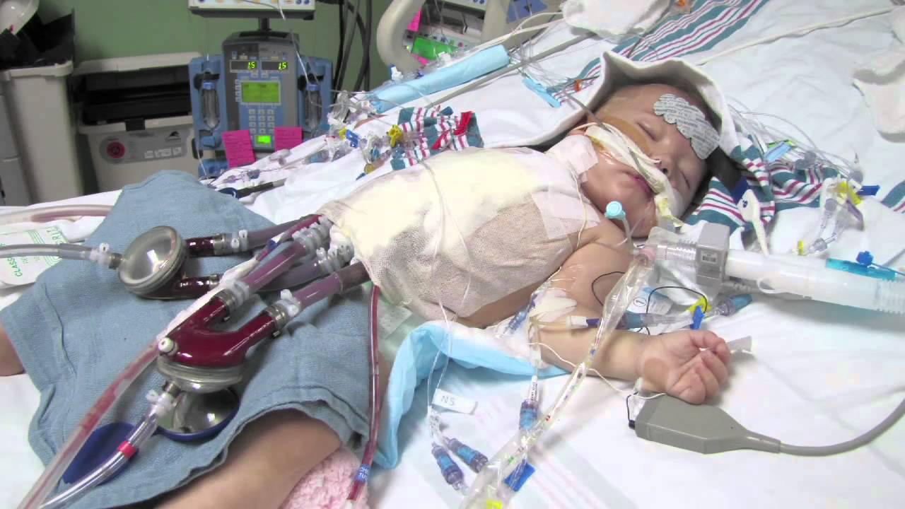 The Berlin Heart - Avrie's Case Study