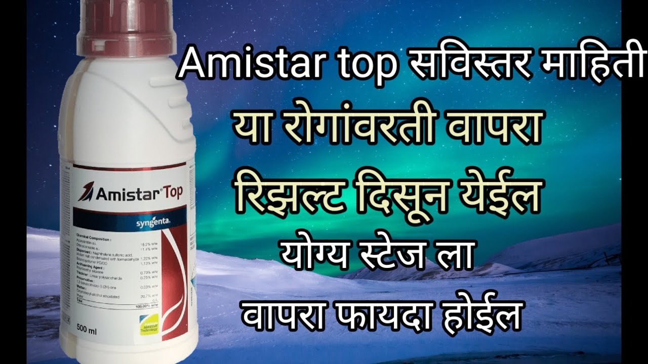Amistar top fungicide in marathi | amistar top syngenta| amistar top |@AapliShetiAaplshivarD