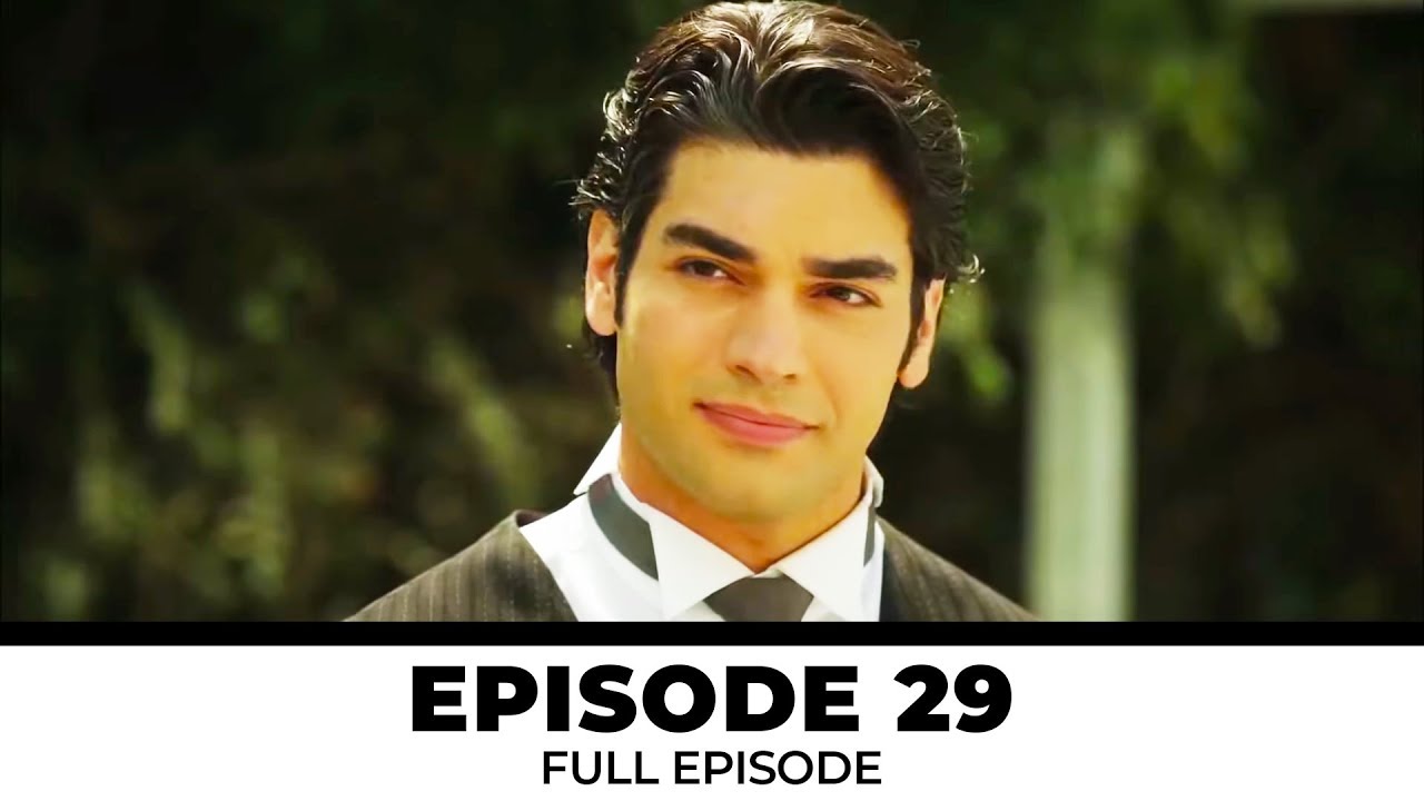 Episode 29 | Lovebird