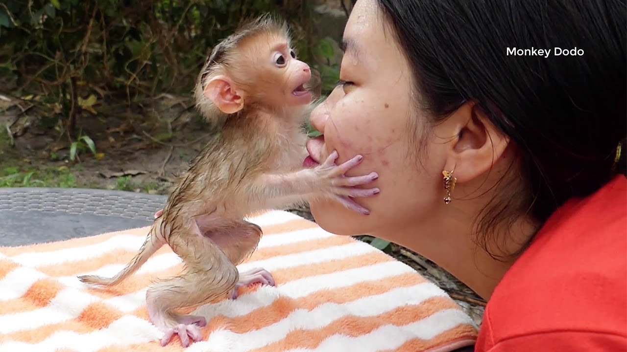 Most Cutest Newborn Hug And Talking To Mom | Newborn Baby Share Sweet Love To Momma
