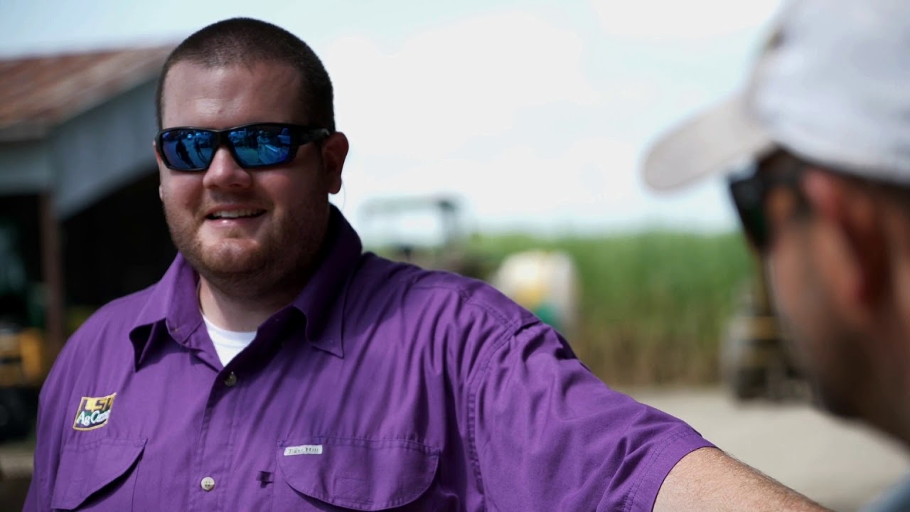 LSU Giving Day: Agriculture