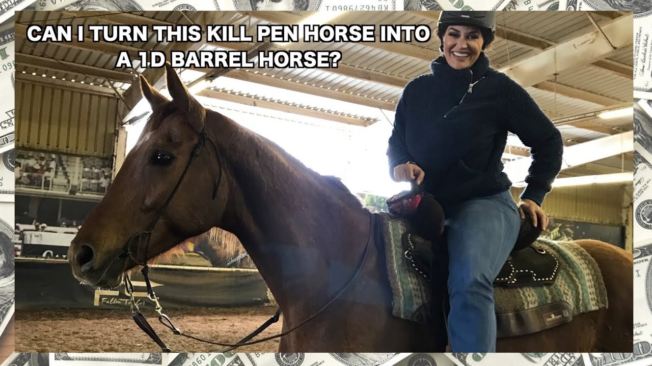 $1,000 KILL PEN TO BARREL HORSE CHAMPION CHALLENGE!....(Can it be done?)