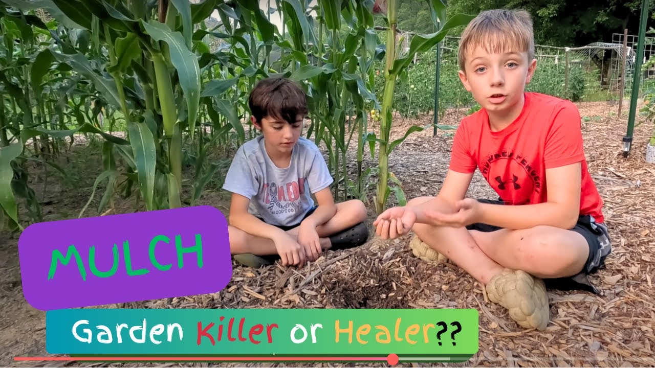 See What Happens When You Use Mulch in Your Garden!