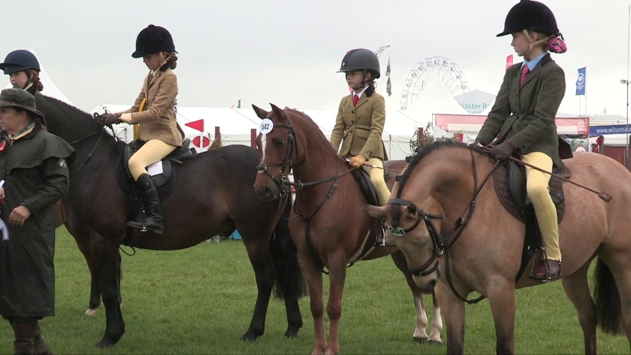 Balmoral Show Working Hunter Ponies Hi-lights