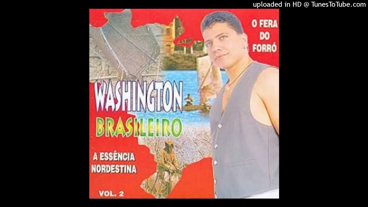 Por Favor Não Vá - Washington Brasileiro