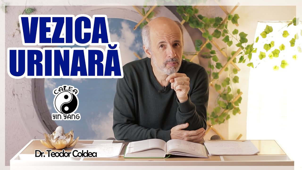 Vezica Urinară - Dr.Teodor Coldea - Calea Yin Yang