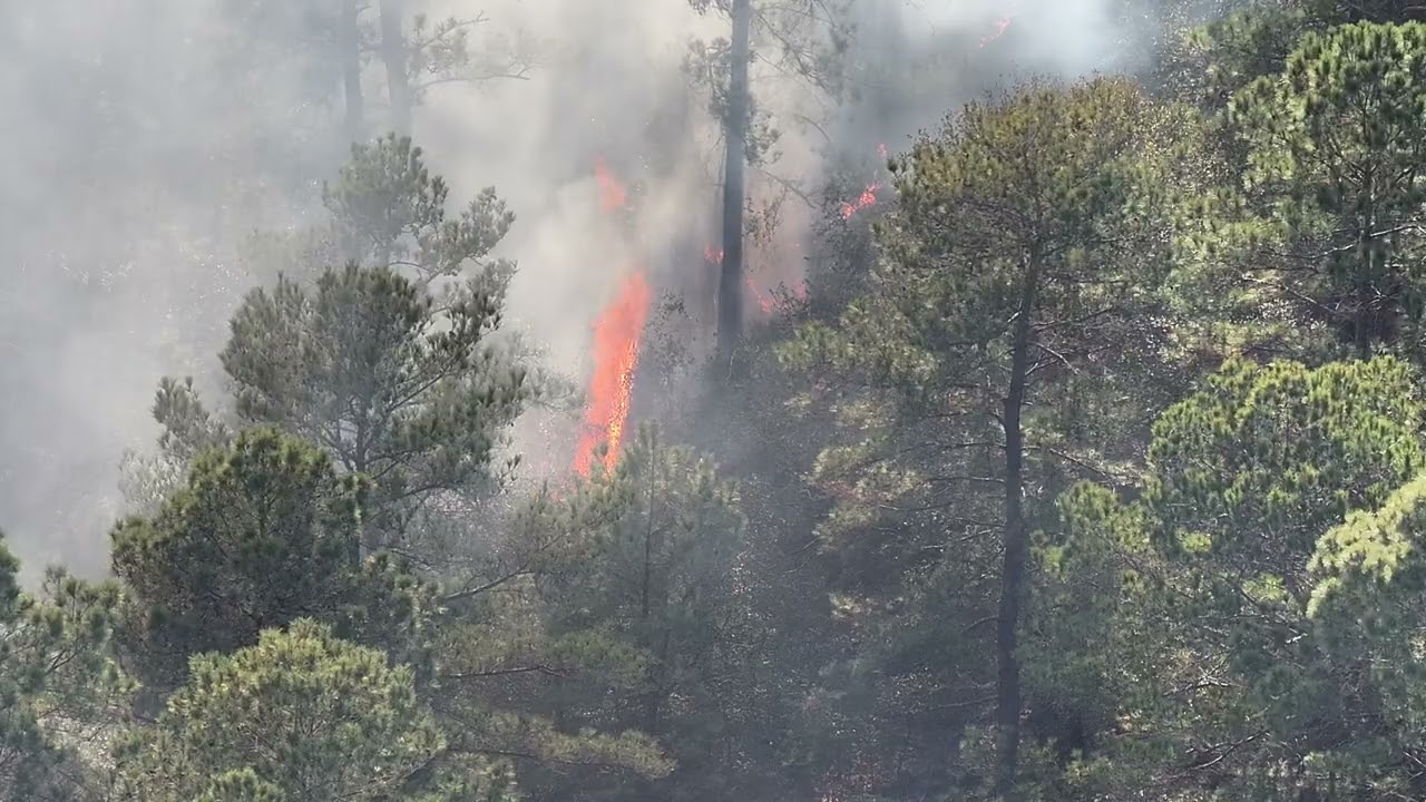 Houston Fire - Grass Fire - DMG014, D014, DMG514, E014, B014