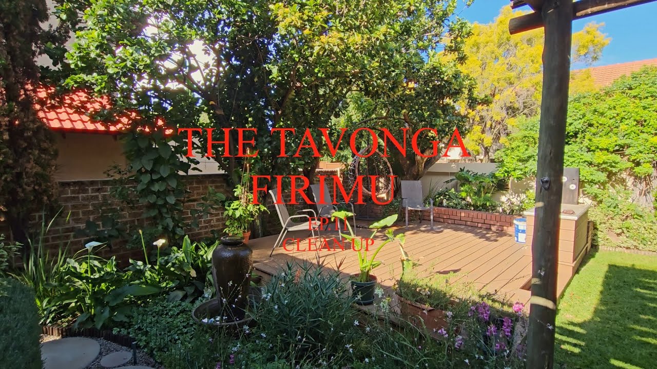 The Tavonga Firimu EP.11 Clean Up