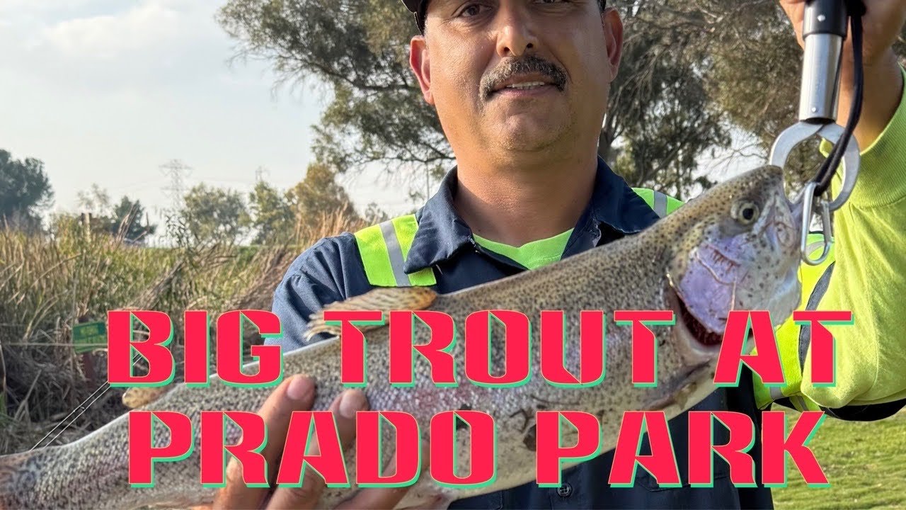 Lightning Trout at Prado Park (my set-up)
