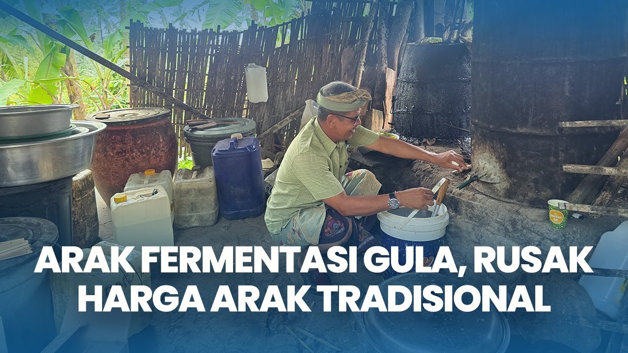 Arak Fermentasi Gula Kian Marak Dipasaran, Rusak Harga Arak Tradisional Bali