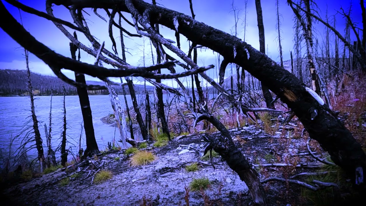 Sarah Cheevers-Northcott Burning Black