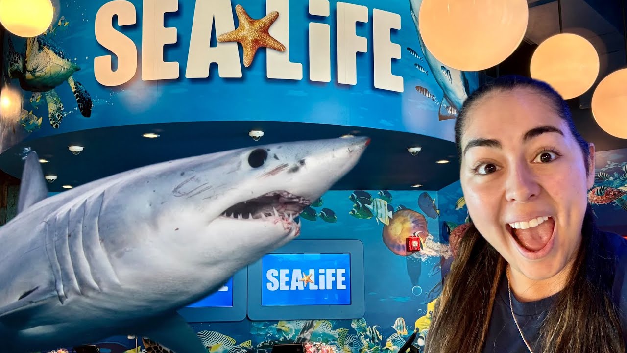 First Look At The NEW SEA LIFE FLORIDA At LEGOLAND!!