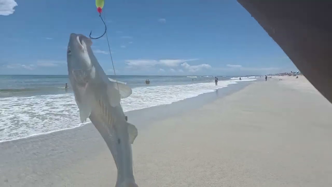 Alusso Solar Lamp Review & Beach Date With Some Fishing Of Course