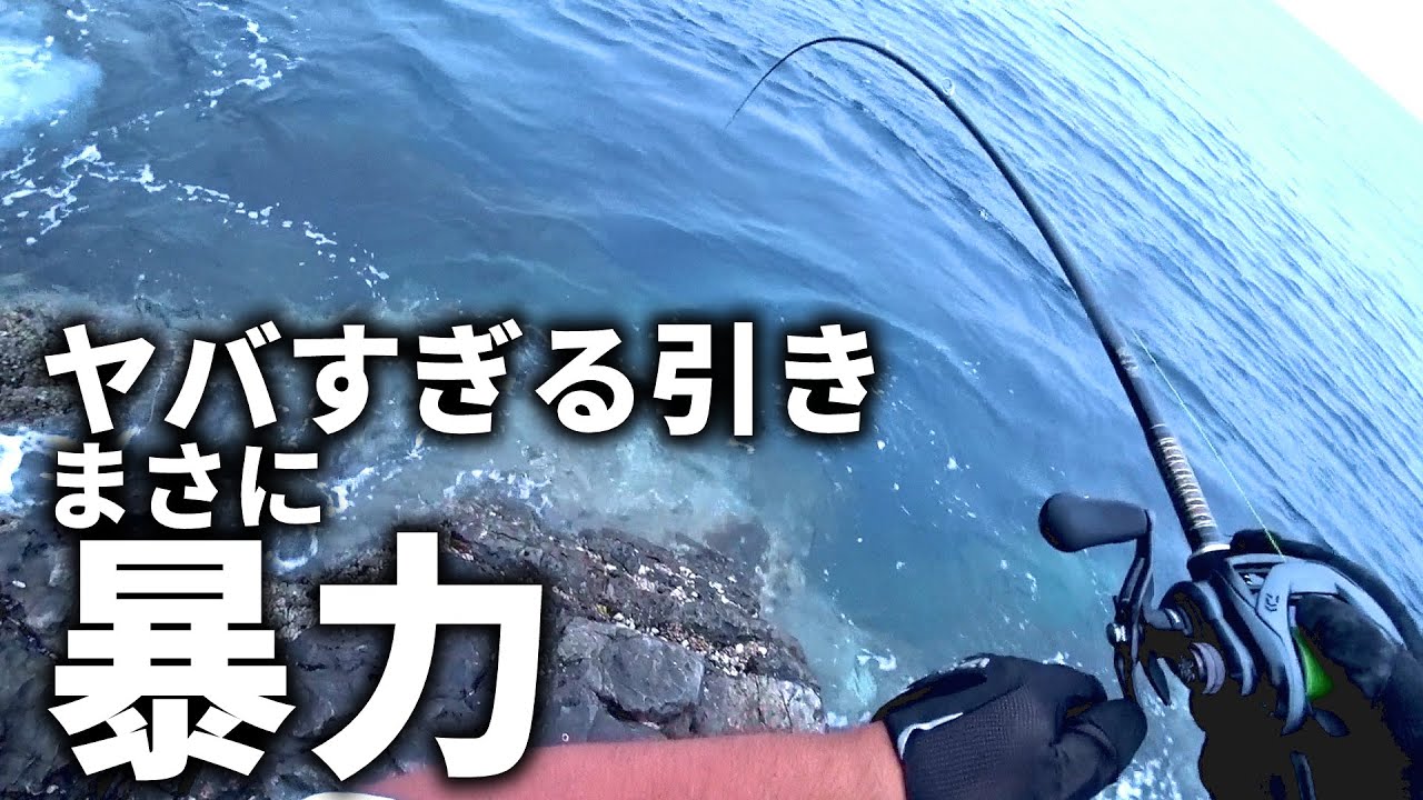 ついに来た、荒磯の暴君。最強のタックルでガチ引っ張り合いフルパワーファイト！！