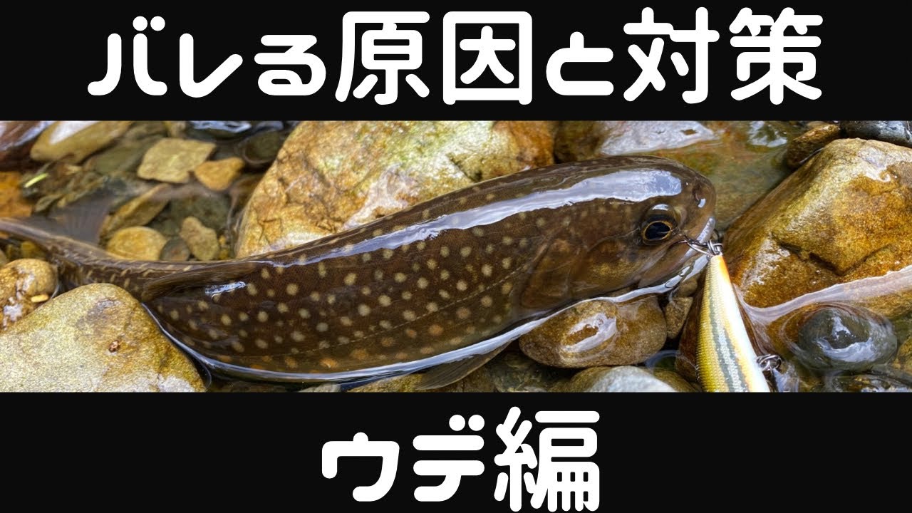 【初心者解説】渓流ルアーでバラす理由はフックと〇〇！