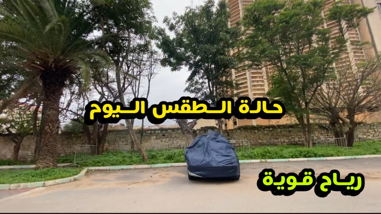 حالة الطقس المتوقعة اليوم: رياح 💨 قوية 💪 