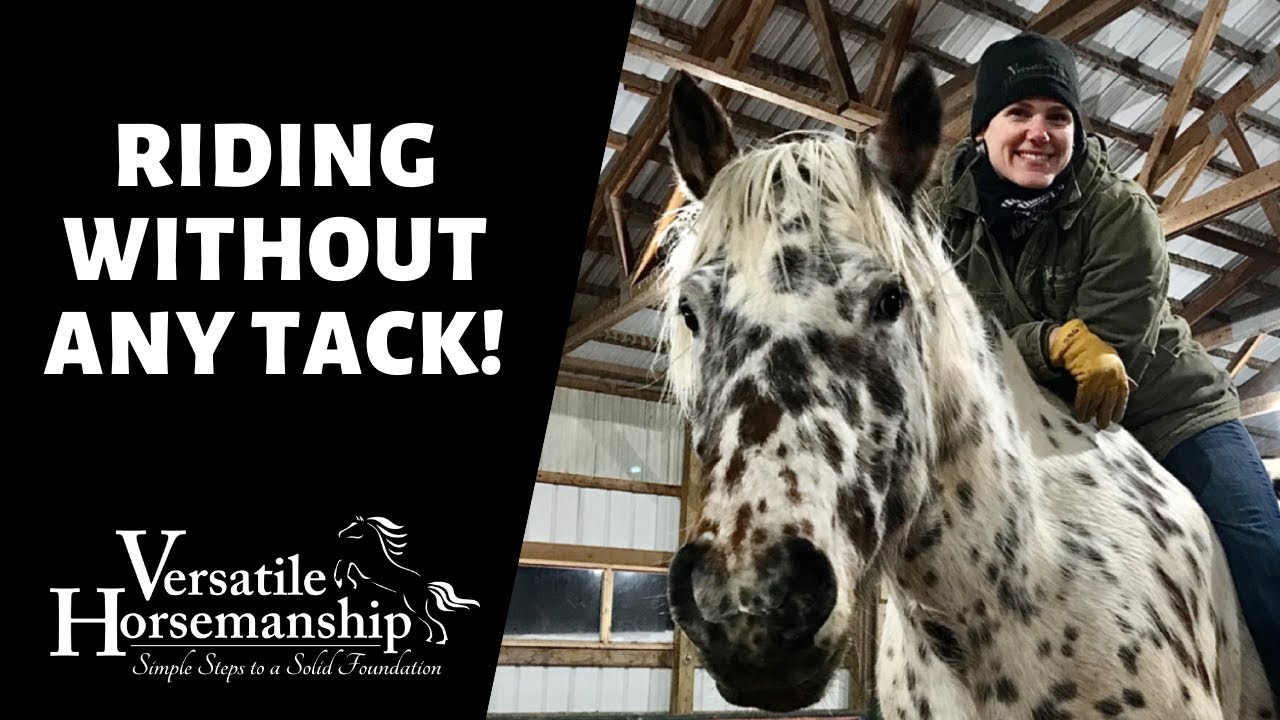 RIDING MY HORSE WITHOUT TACK! // Versatile Horsemanship