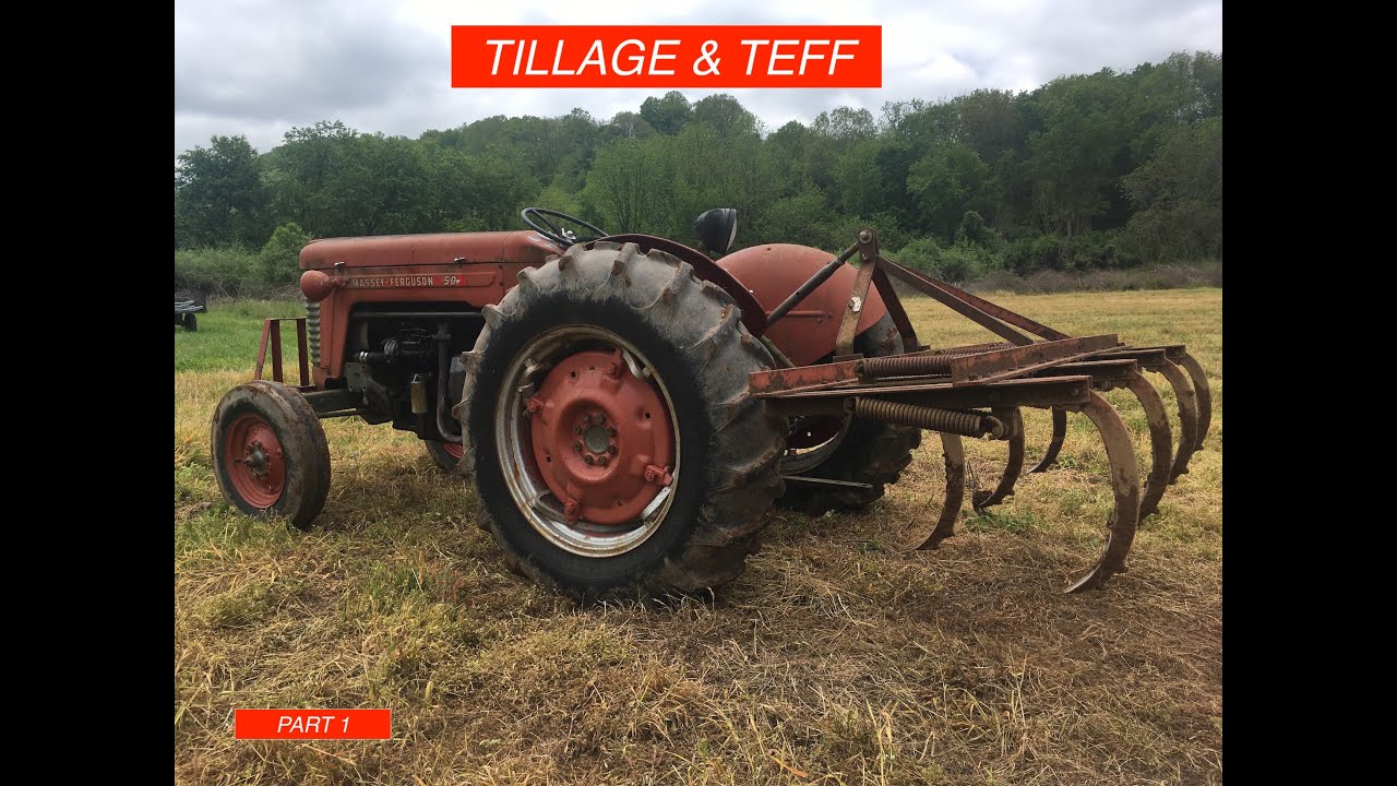 Tillage, Teff & Massey Ferguson 50 Diesel Part 1
