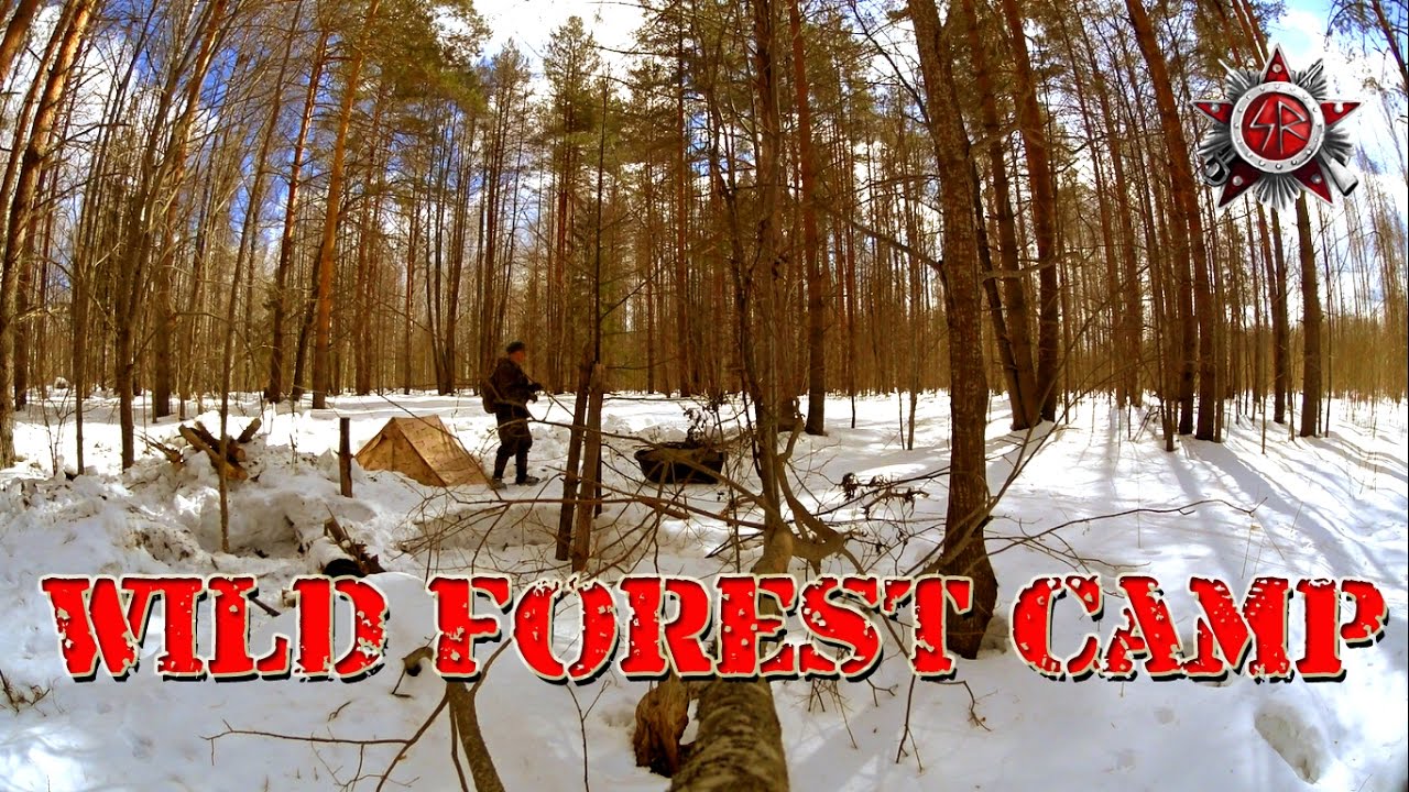 Russian Wild Forest Camp 1