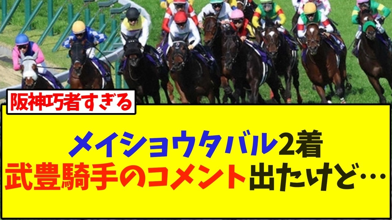 メイショウタバル2着武豊騎手のコメント出たけど&hellip;【競馬】