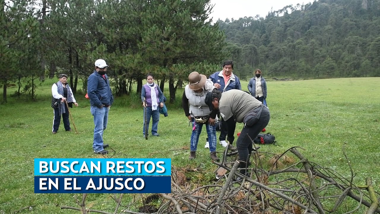 Desaparecidos |  Buscan restos de sus familiares en el Ajusco