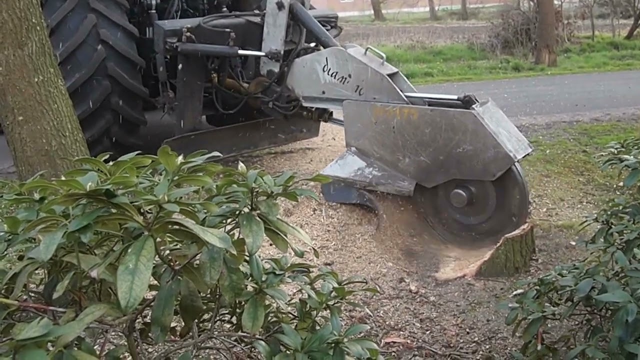 Stubbenfräsarbeiten mit der großen Fräse