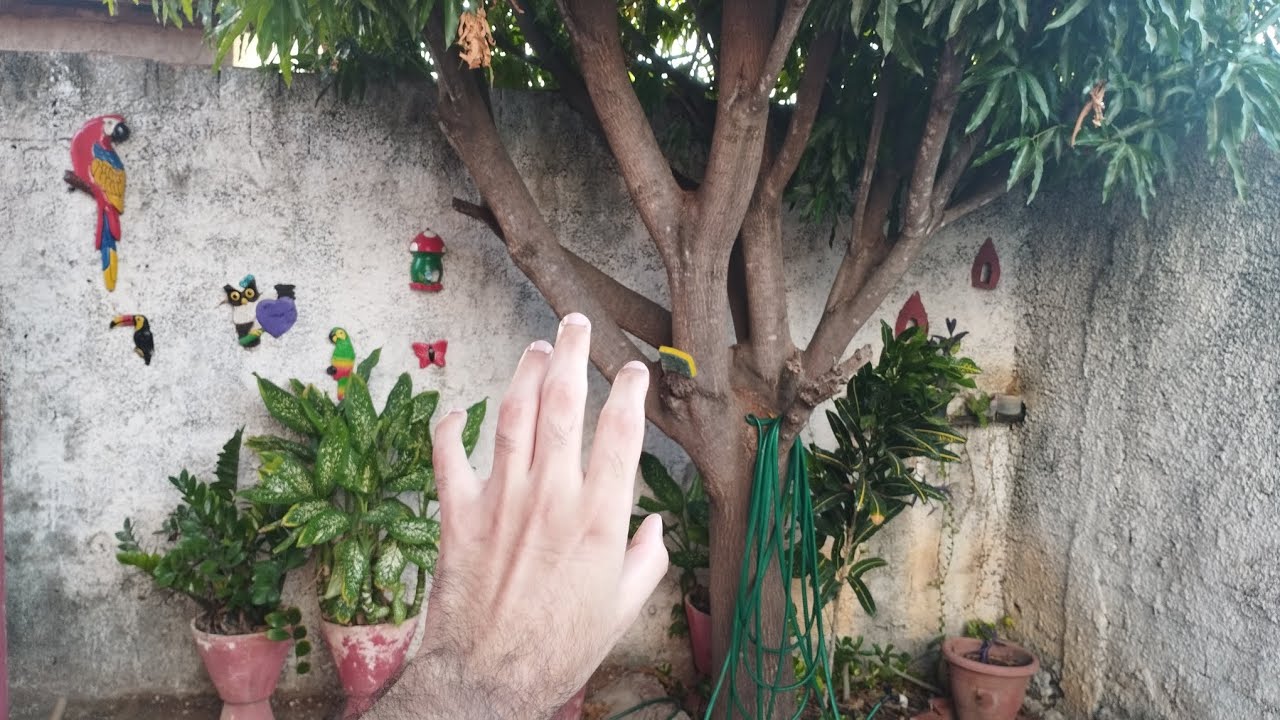 ASMR CASEIRO AO AR LIVRE - tour pelo quintal da minha casa - sons de boca, tapping.
