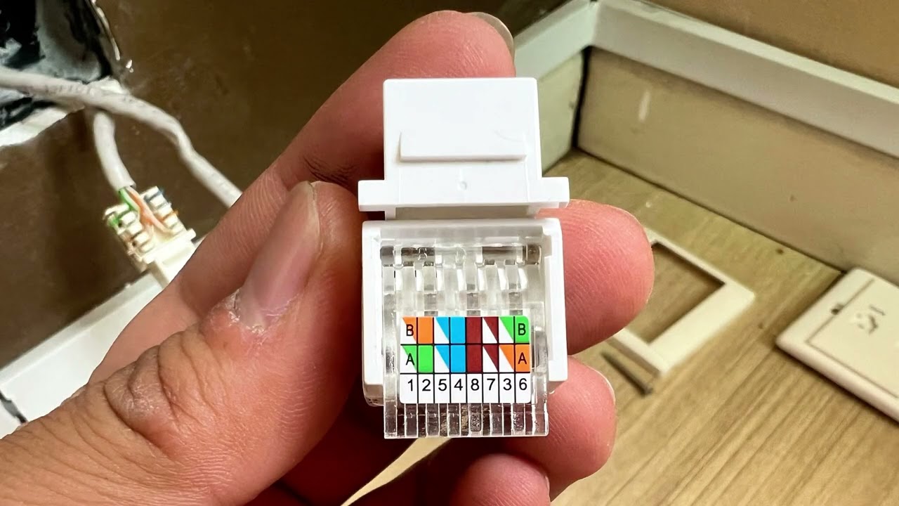 Cara pasang RJ 45 Cat 6 - wall type - crimping