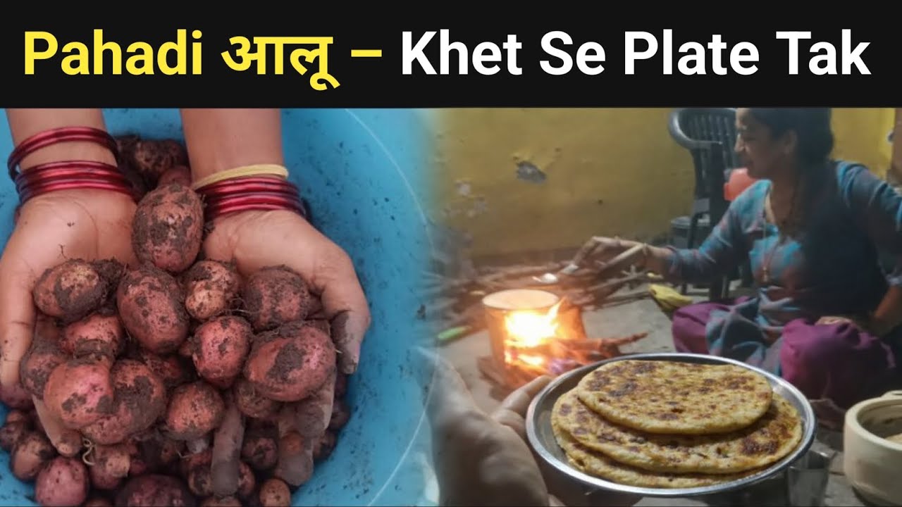 Uttarakhand Mein Pahadi Aalu Ki Kheti 🥔 | Village Vlog
