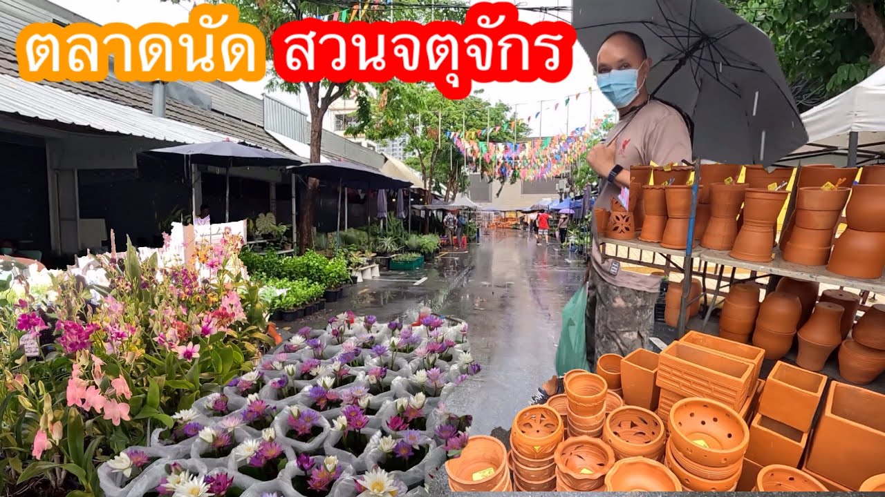 ตลาดนัดต้นไม้สวนจตุจักรเดือน พ.ค 67