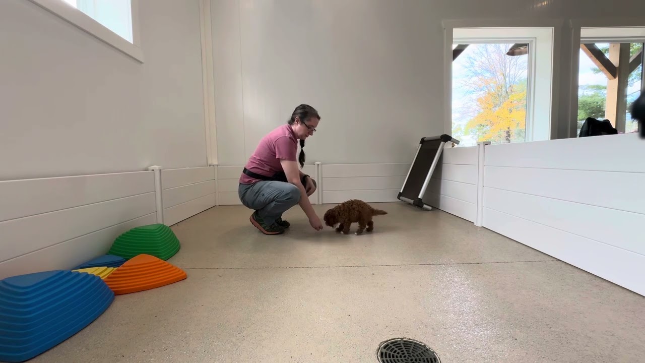 Conrad Training Session 10/29