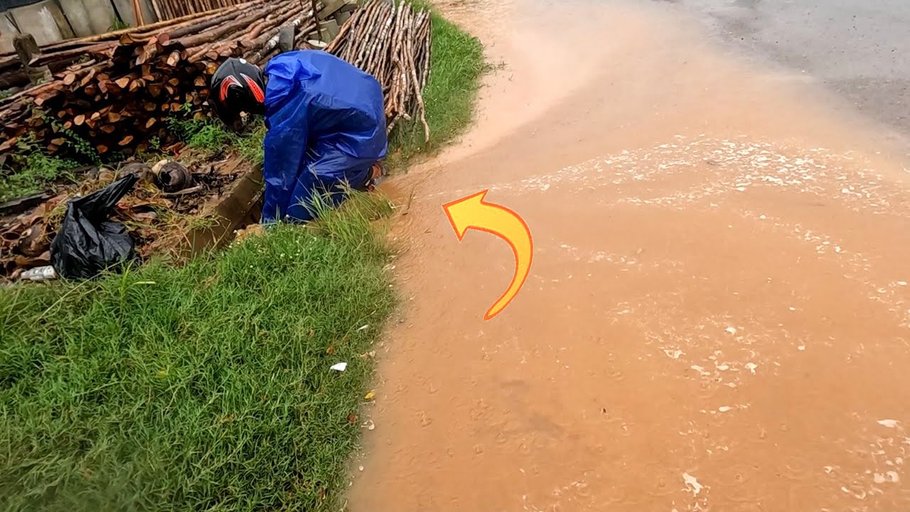 Clearing the Way Mrdoma Battles Rubbish to Drain Flooded Culver