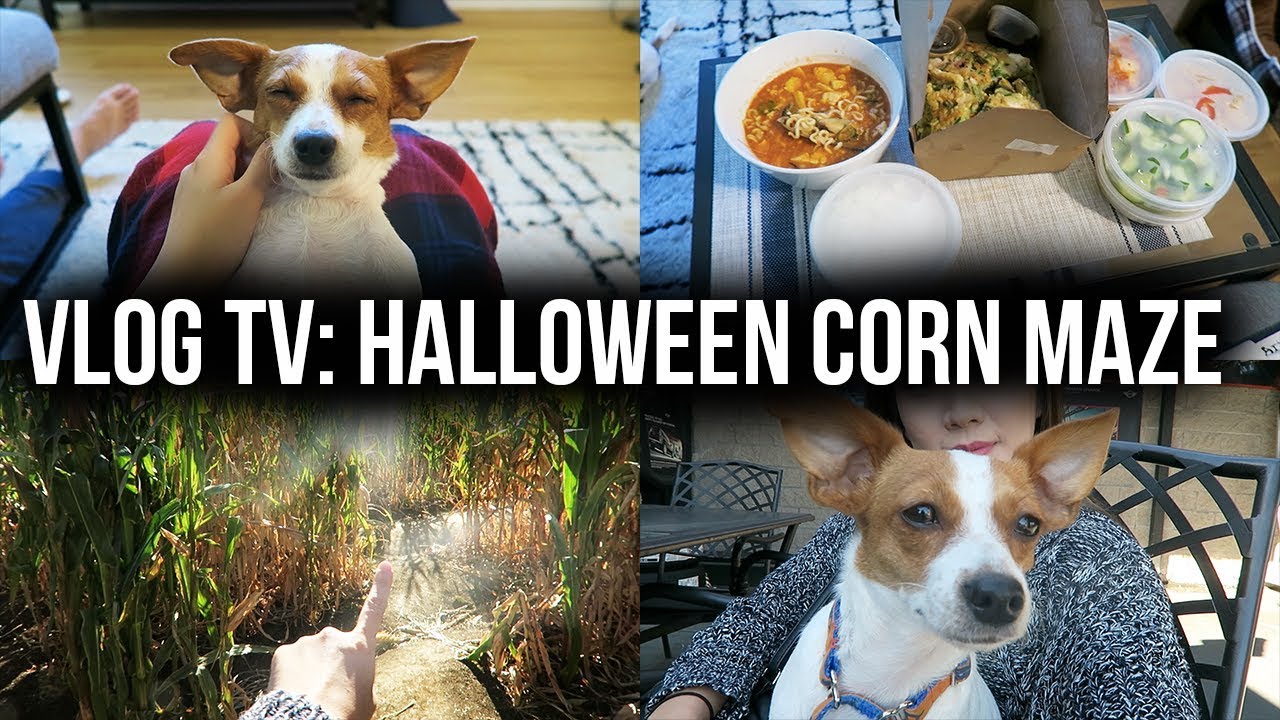 VLOG TV: Halloween Corn Maze!!! | 萬聖節玉米田大探險!!!