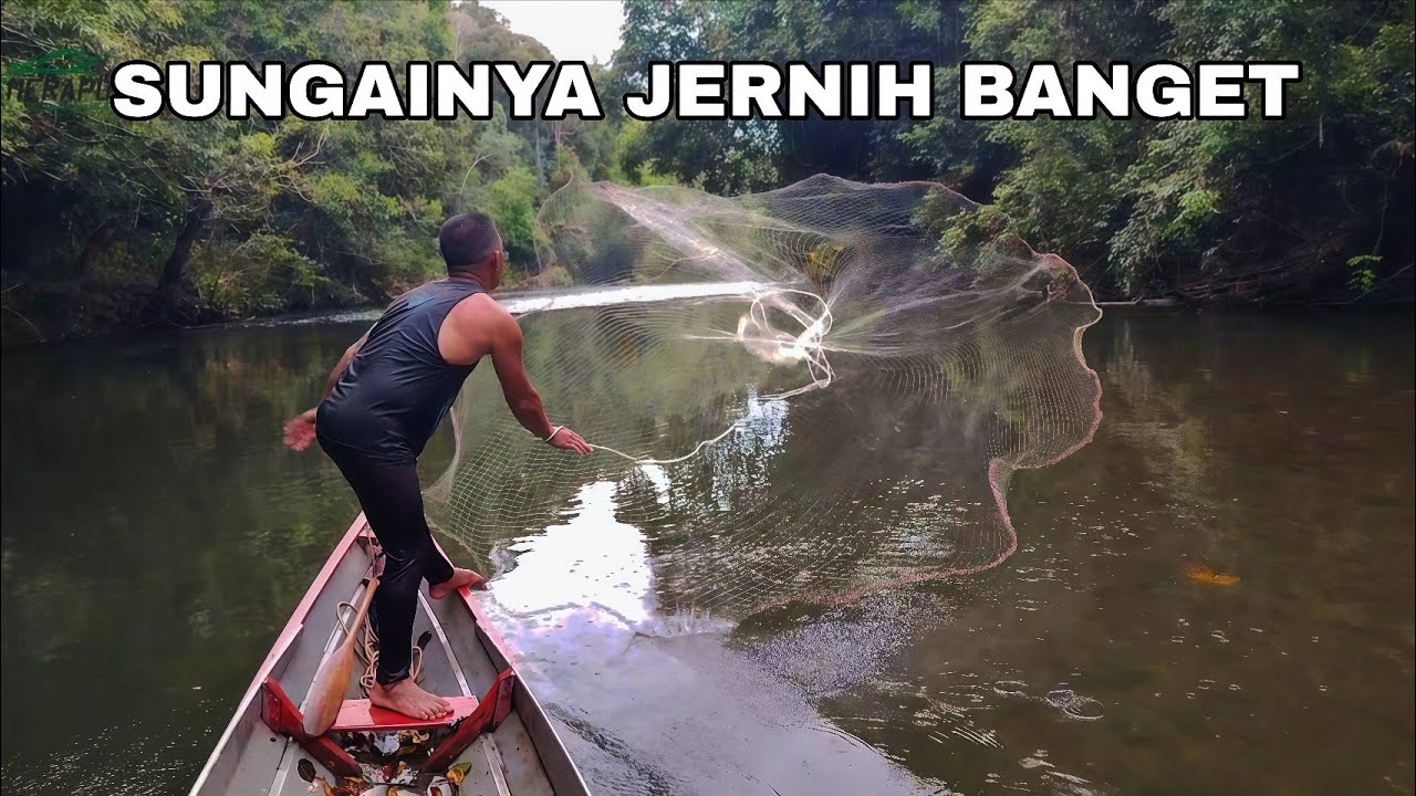 MENJALA GEROMBOLAN IKAN YG KELIATAN DI SUNGAI JERNIH‼️