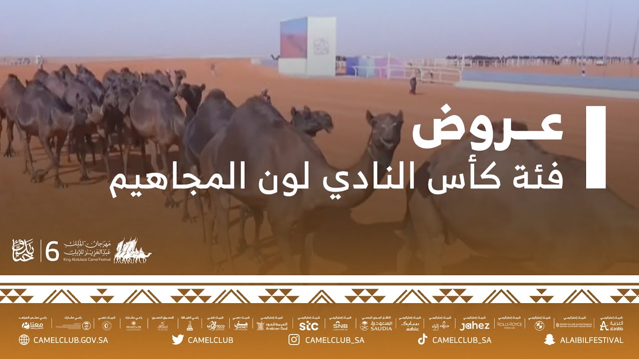 📹 جانب من عروض فئة كأس النادي، للون المجاهيم يوم الأحد 5/ديسمبر/2021