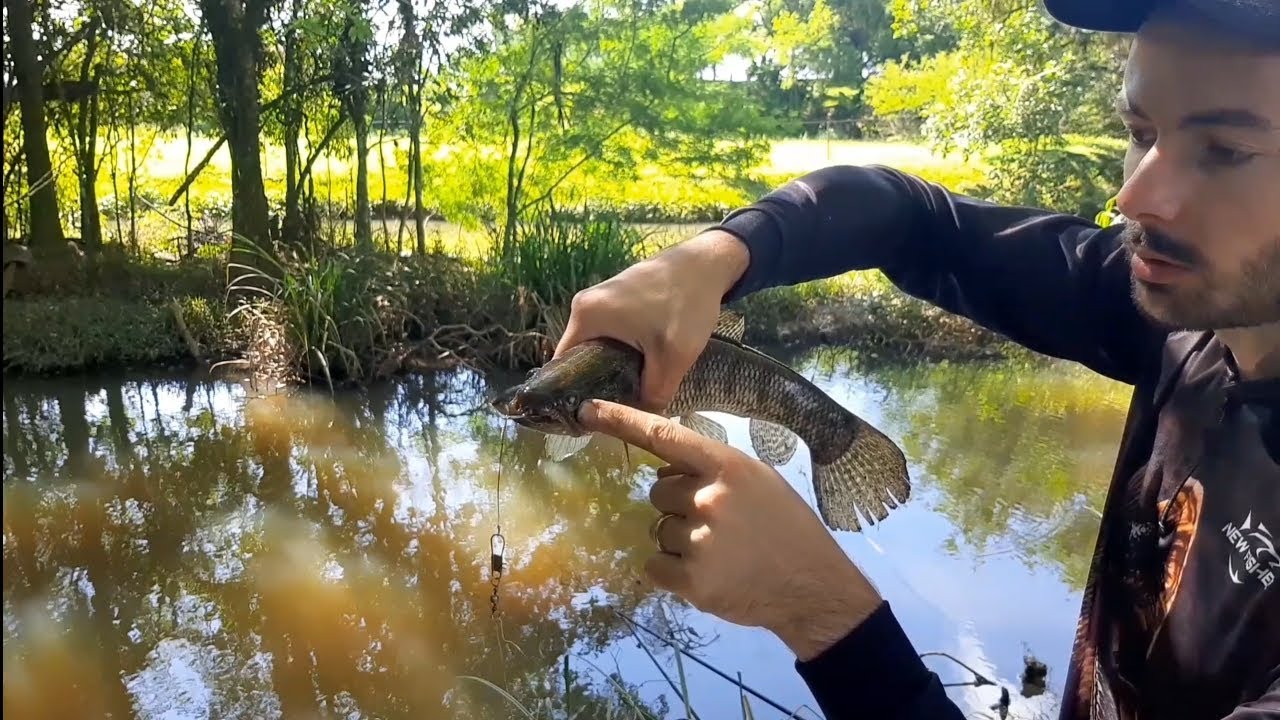 Quando vi não acreditei, uma TRAIRA SEGA.