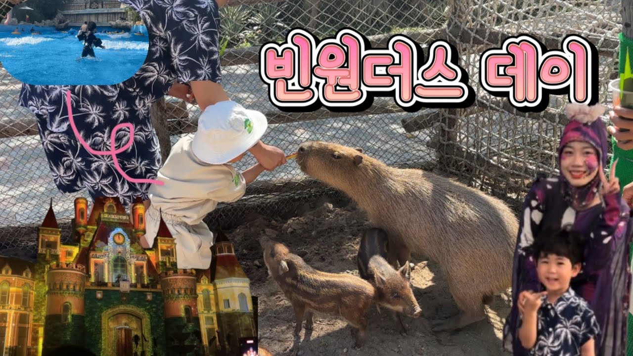 🥭 나트랑 여행 : 빈원더스의 모든 것 (A to Z) | 사파리 주키퍼(zookeeper) | 5살 가족여행 아기랑 같이 베트남 여행 | 워터파크 꿀팁 공유 | 나트랑 빈원더스