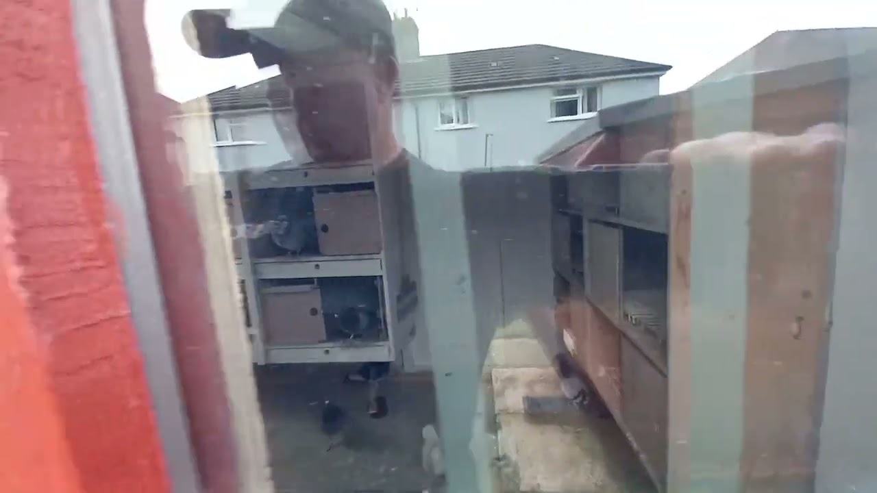 new van den bulcks x walk around