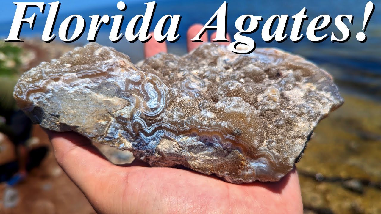 SO MANY SPARKLES! Hunting for Gorgeous Druzy, Agate, Chalcedony, and Fossils in Florida!