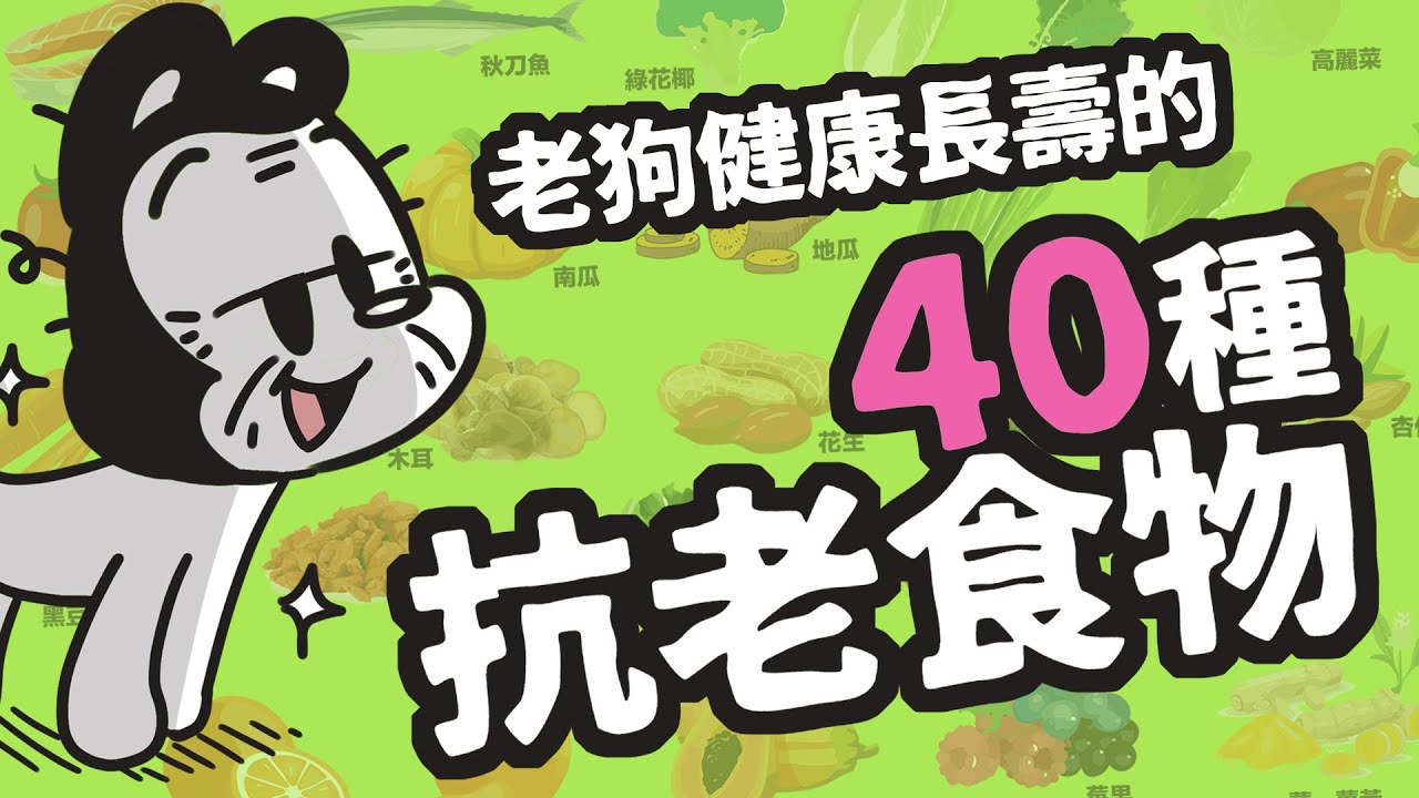 狗與鹿 ｜40種狗狗的抗老食物  | 吃對了！讓狗狗能陪你更久!