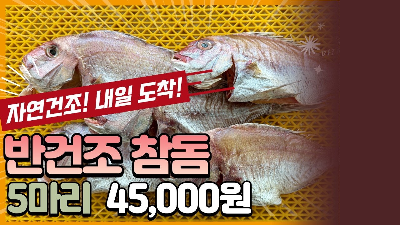 3월 12일(목)🌊 #반건조참돔 #민어통치 #가자미 #반건조참돔 #반건조농어 #반건조민어 #목포생선 #수산물택배 #freshfish #seafood
