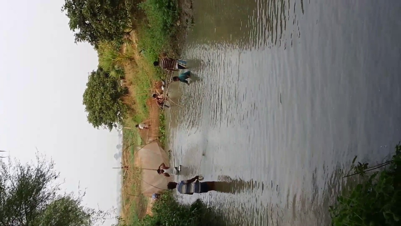 Mach dhara