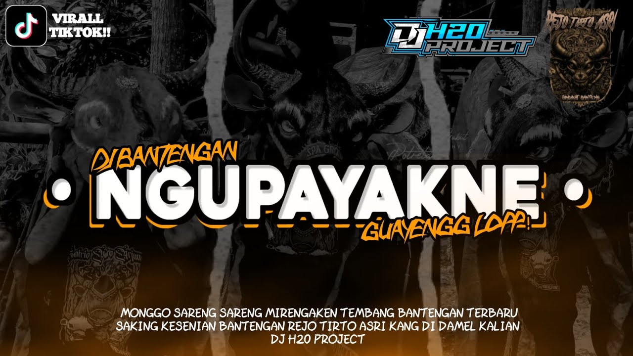DJ BANTENGAN TERBARU ❗❗