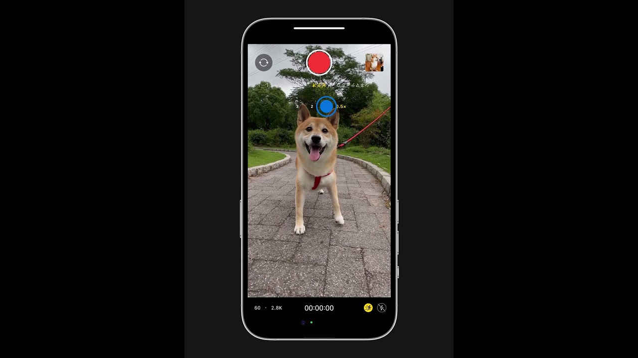 iPhoneで動きながら手ぶれのないビデオを撮影する方法 | Appleサポート