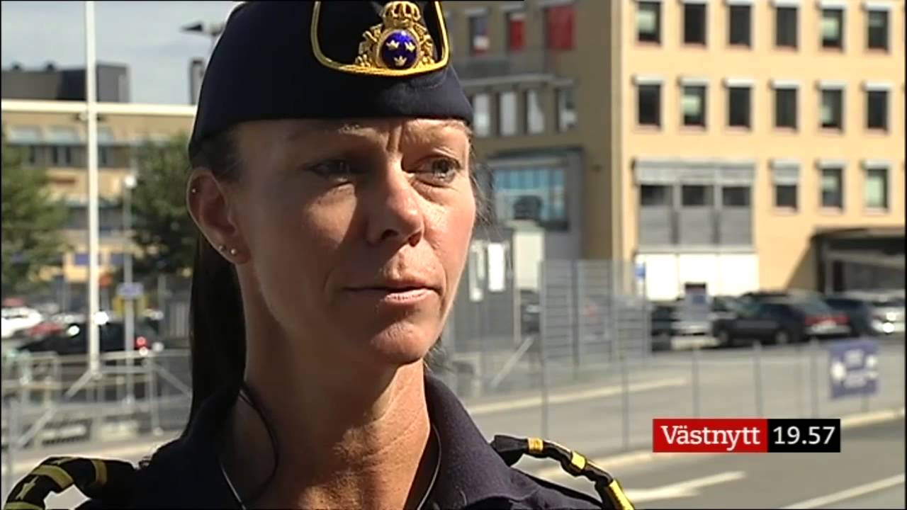 Skyfall i V&auml;stsverige. Svavel i br&auml;nslet hos f&auml;rgor. Vapenhundar