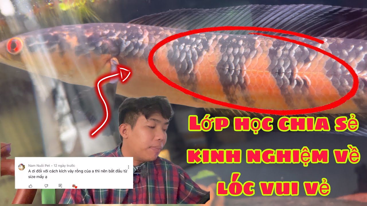 Đạt Thích Lóc : Lớp học chia sẻ kinh nghiệm vui vẻ cùng anh em .